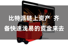 比特派链上资产 齐备快速浅易的资金来去