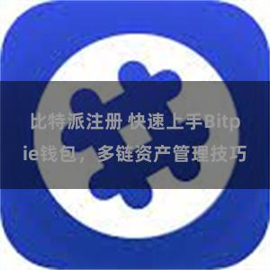 比特派注册 快速上手Bitpie钱包，多链资产管理技巧