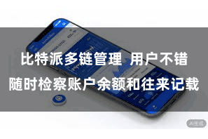 比特派多链管理  用户不错随时检察账户余额和往来记载