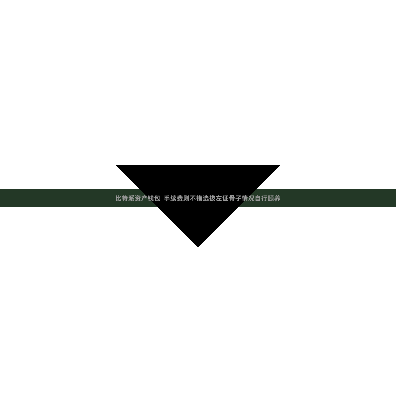 比特派资产钱包  手续费则不错选拔左证骨子情况自行颐养