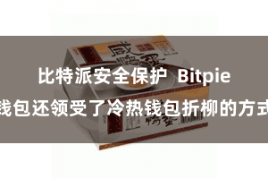 比特派安全保护  Bitpie钱包还领受了冷热钱包折柳的方式