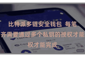 比特派多链安全钱包  每笔来回齐需要通过多个私钥的授权才能完成