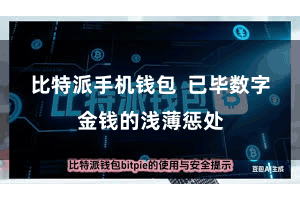比特派手机钱包  已毕数字金钱的浅薄惩处